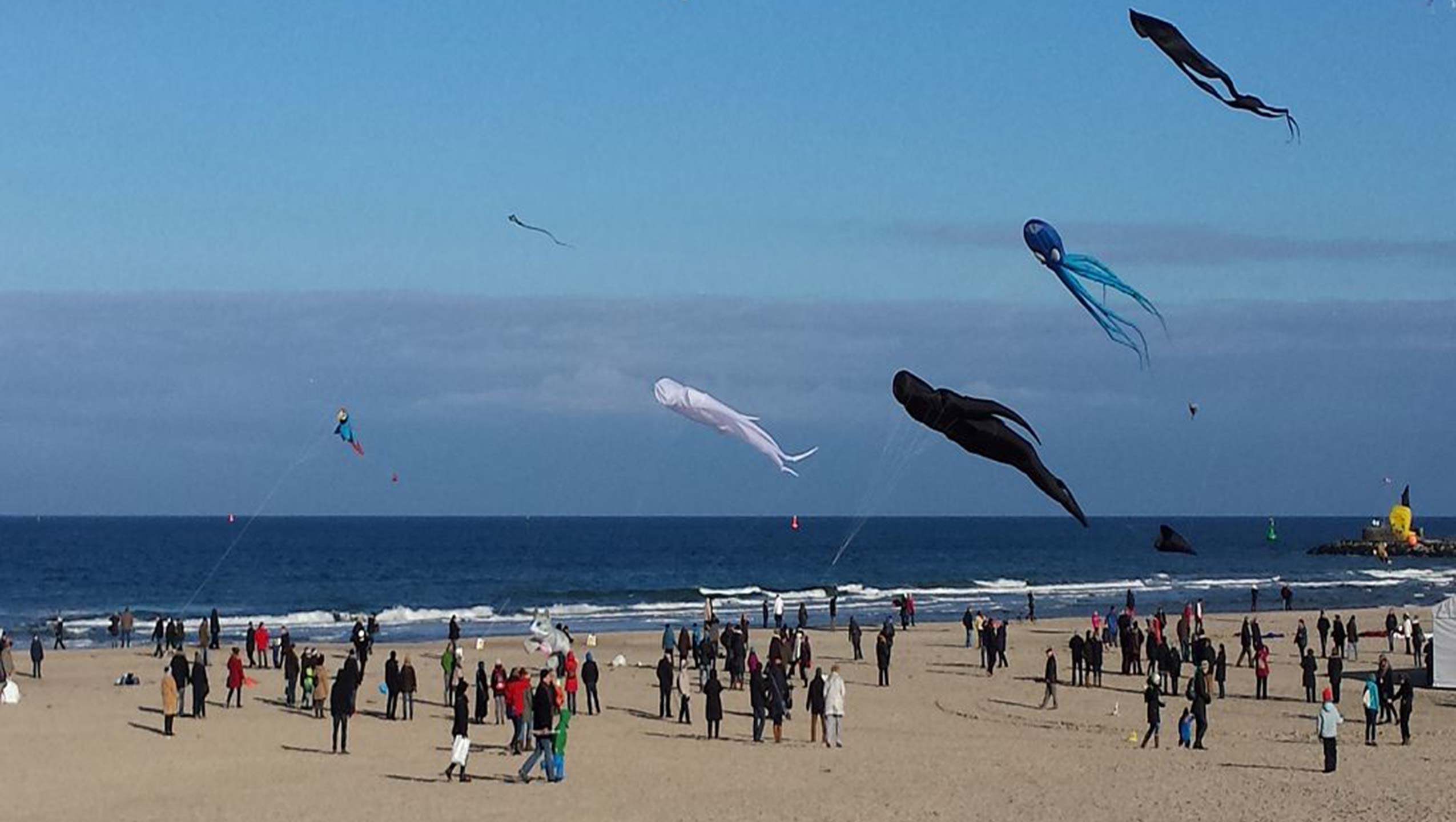 BildungsZukunft - Führung für alle!